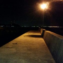 場所を変えながら なんとかガシラget